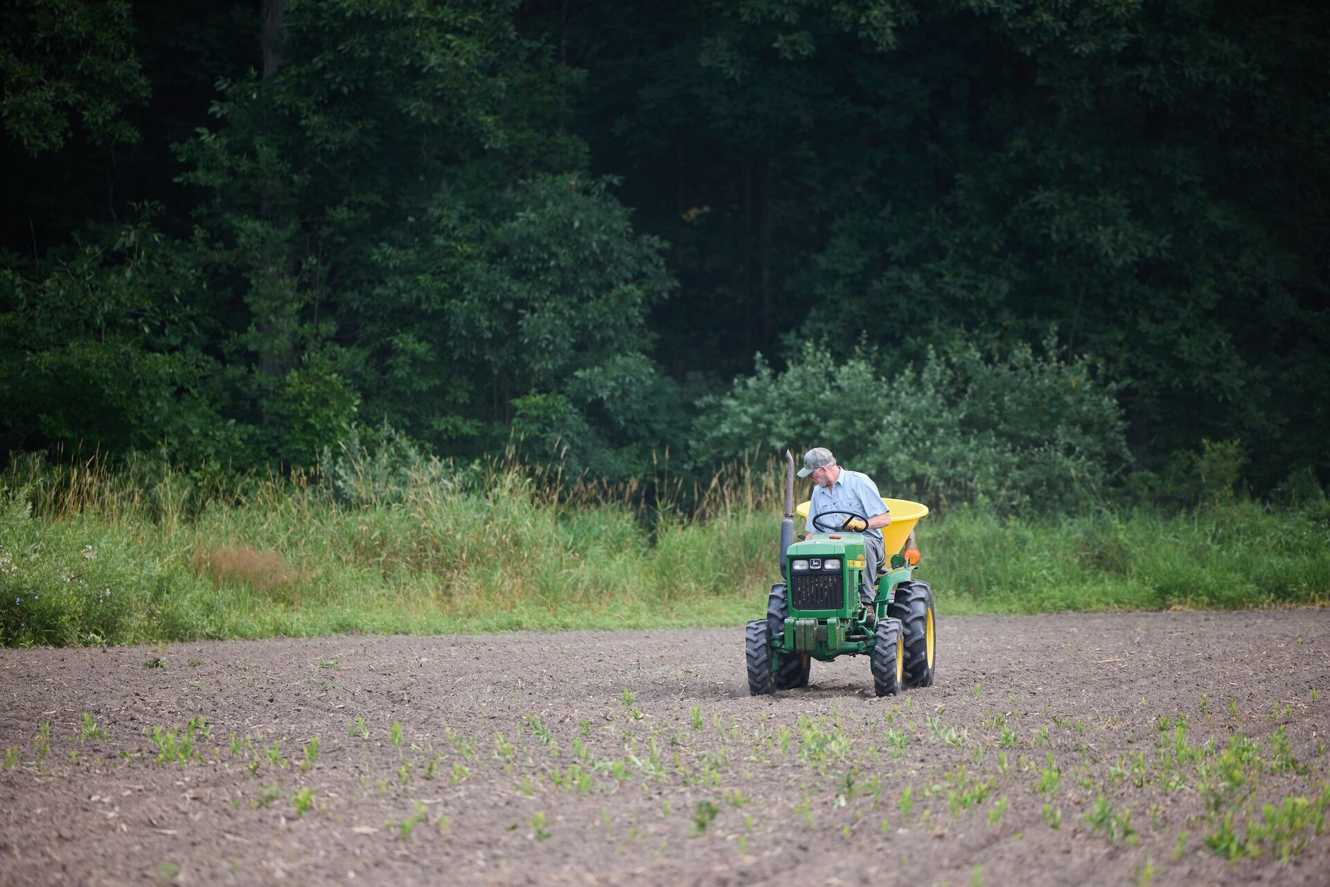 Man drives tractor to plant spring food plot.