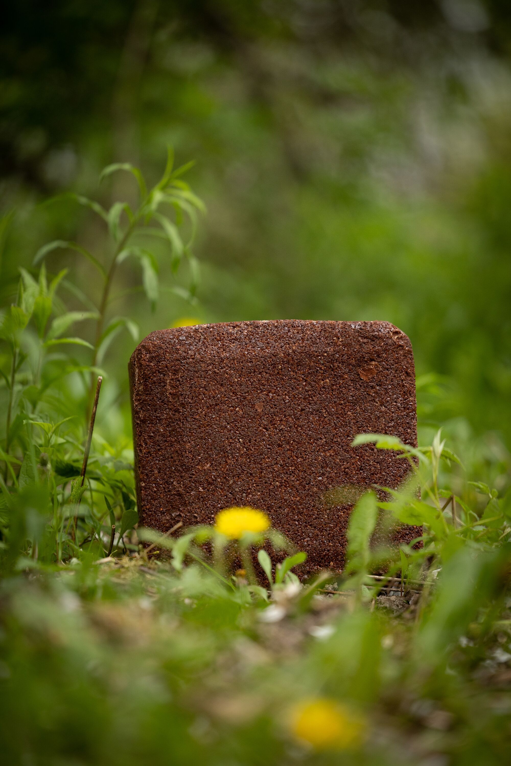 A mineral lick block for deer on the ground.