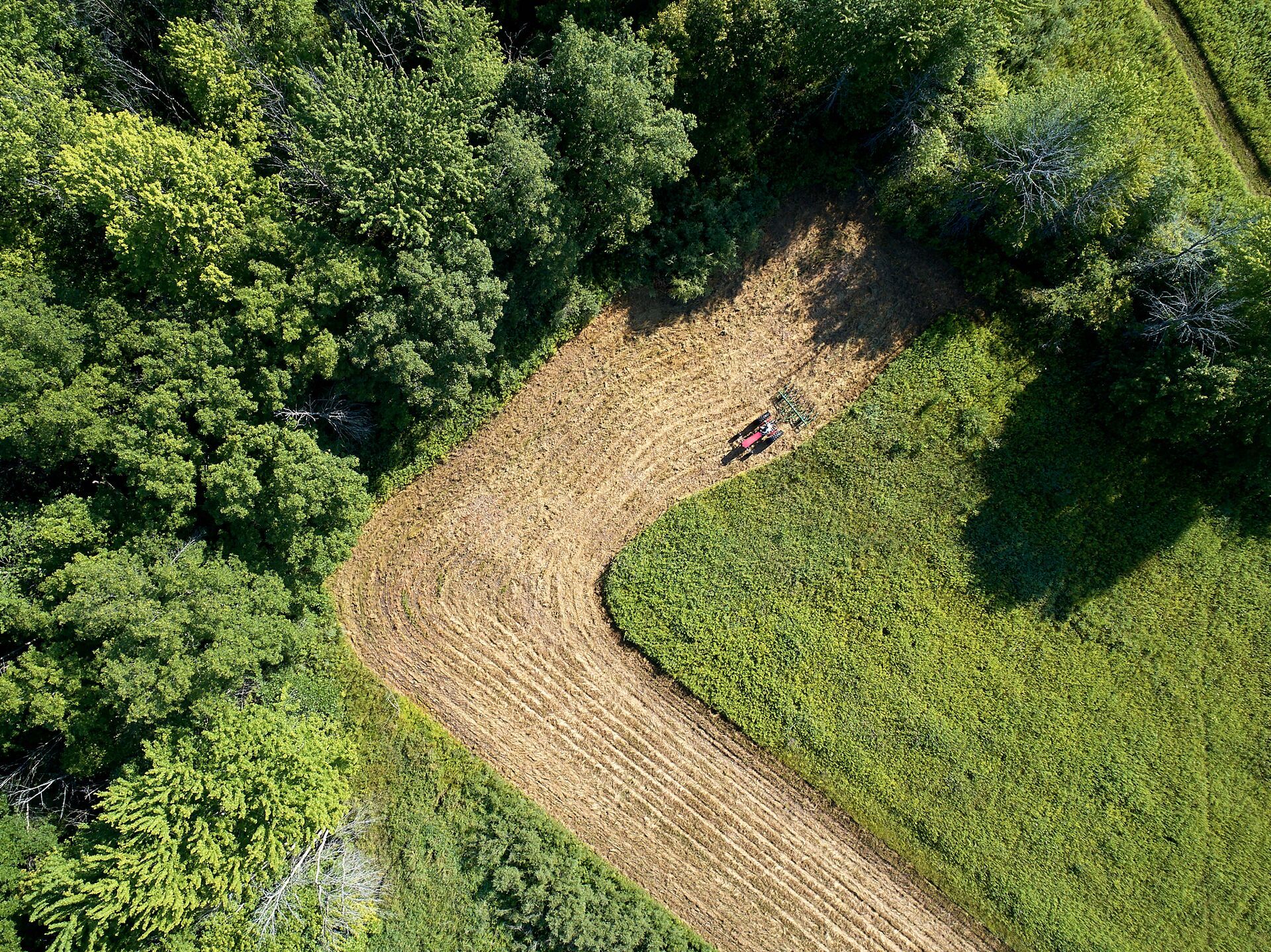 Overhead view of cleared land, dove hunting near me concept.