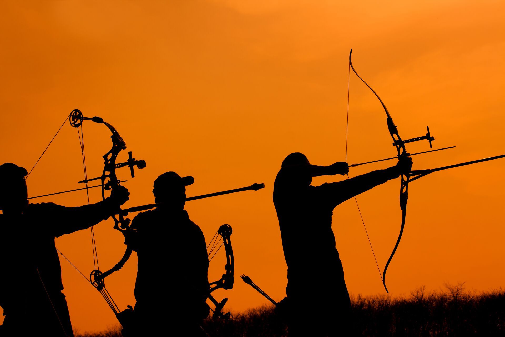 Silhouettes of people shooting recurve and compound bows. 