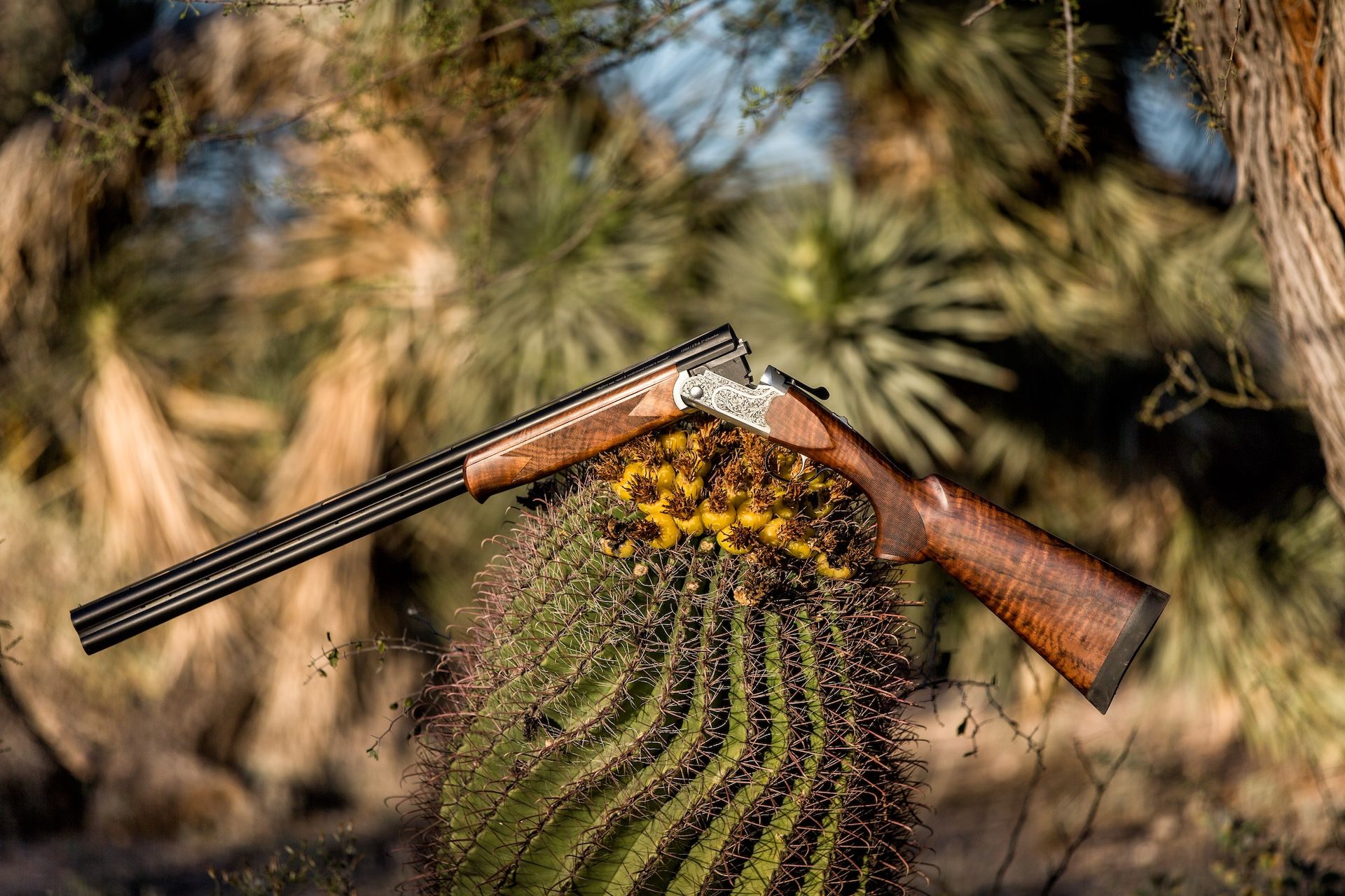 Model 555 E from Savage Arms, best dove hunting shotgun concept. 