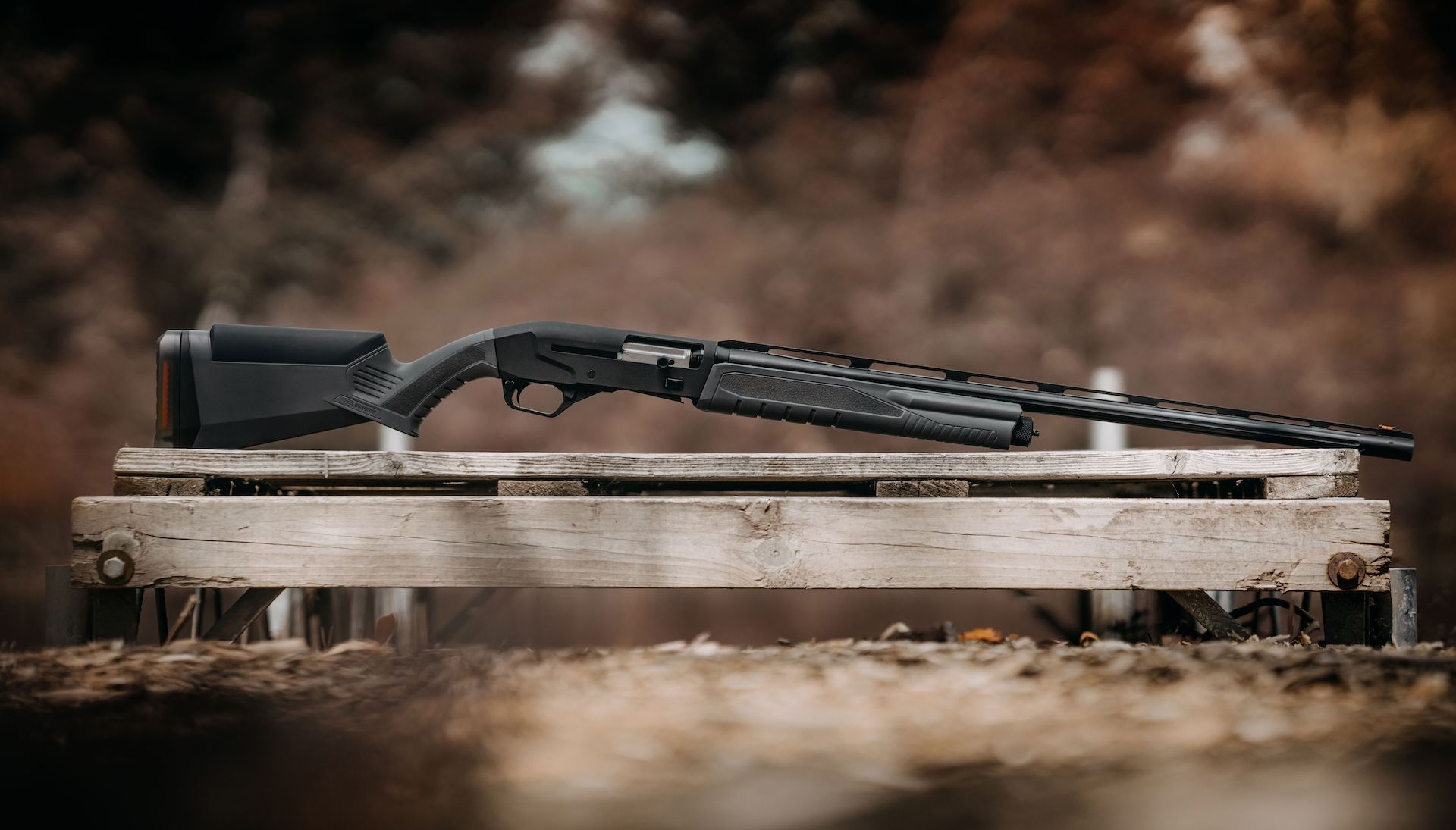 Image of the Savage Arms Renegauge shotgun.