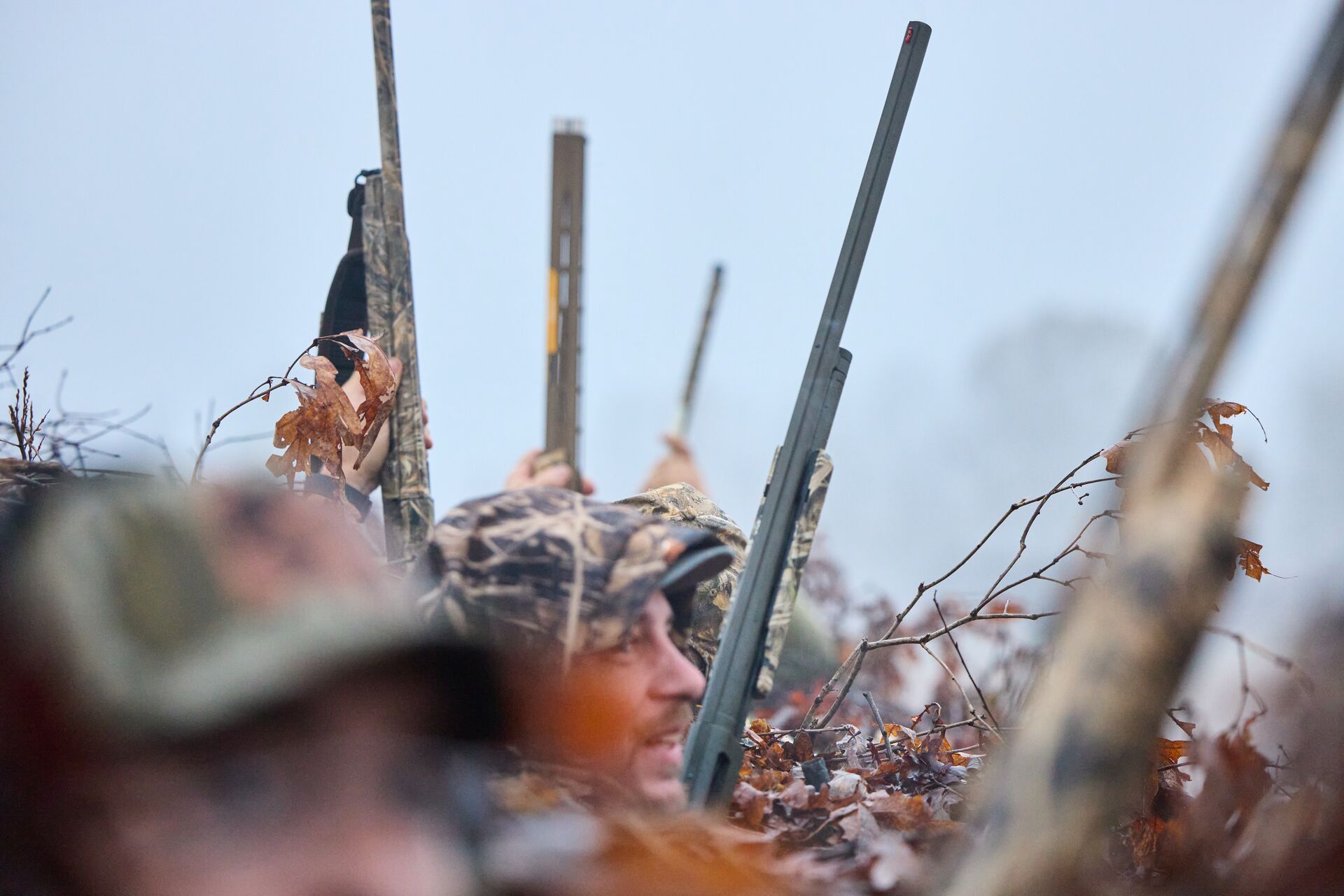 Shotguns sticking up out of a duck blind, best duck hunting equipment concept. 
