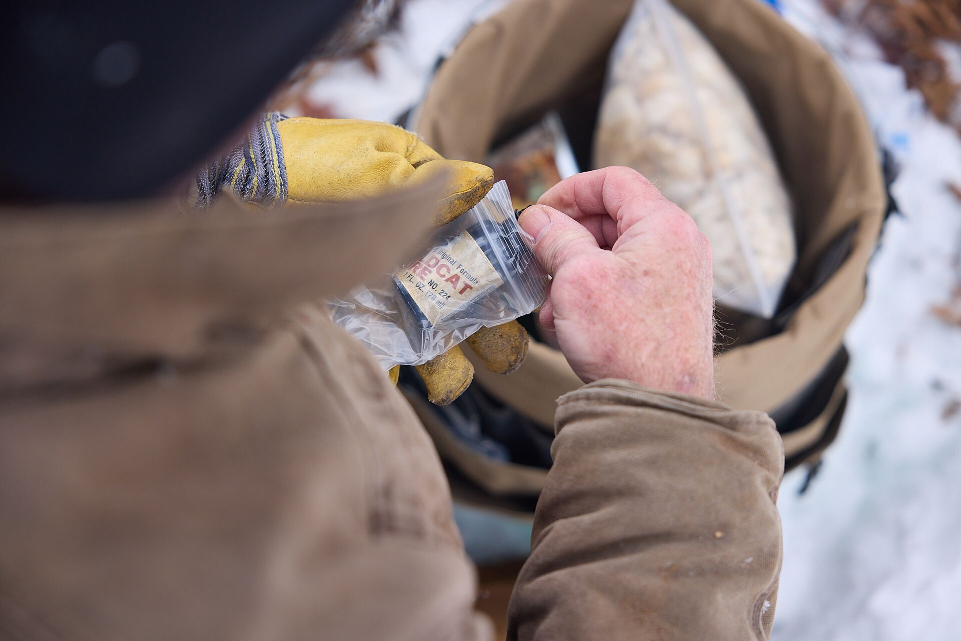Trapper with bobcat lure for trap. 