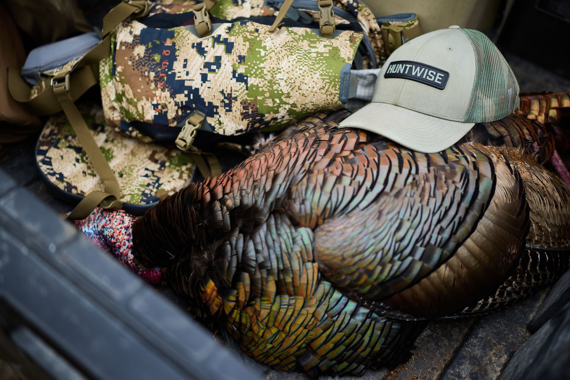 Turkey in back of truck with HuntWise hat and gear, where to shoot a turkey concept. 