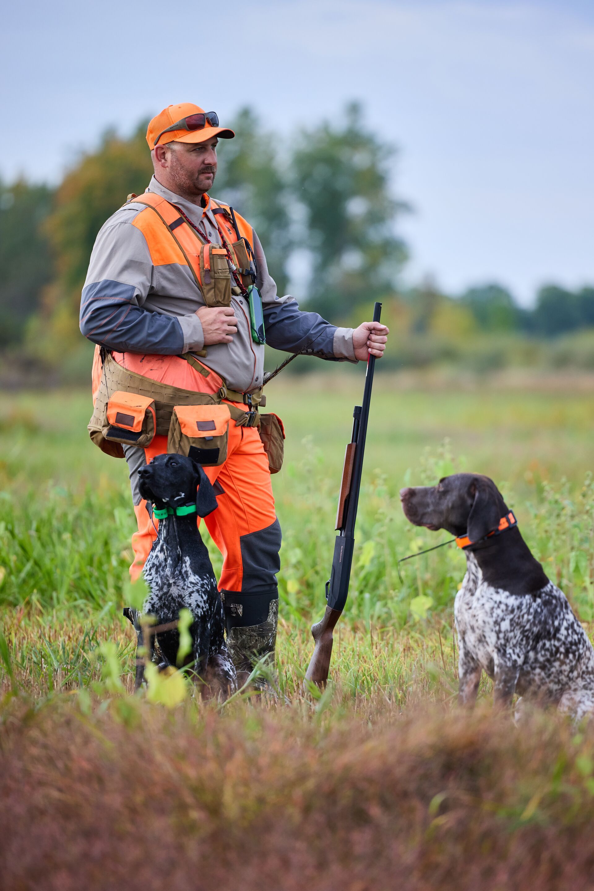 Upland bird hunter with shotgun and dogs, pheasant hunting tips concept. 