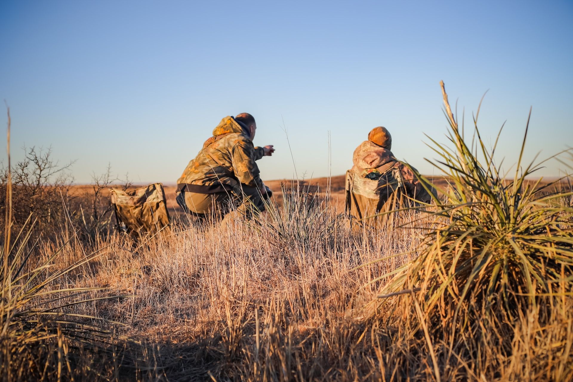 Two hunters in a field, pheasant hunting tips concept.