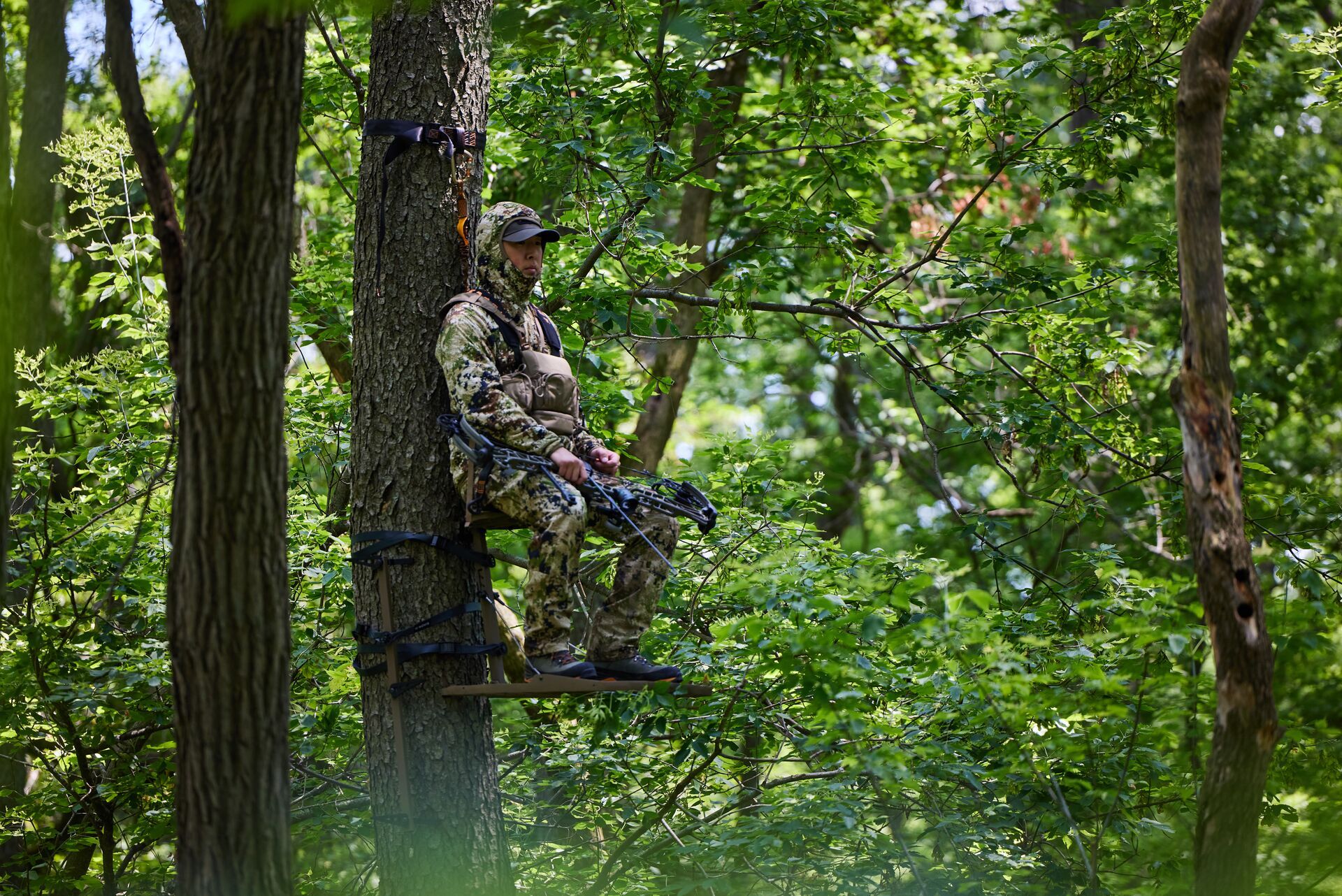 A hunter in a tree stand with a bow, deer season in Missouri concept. 