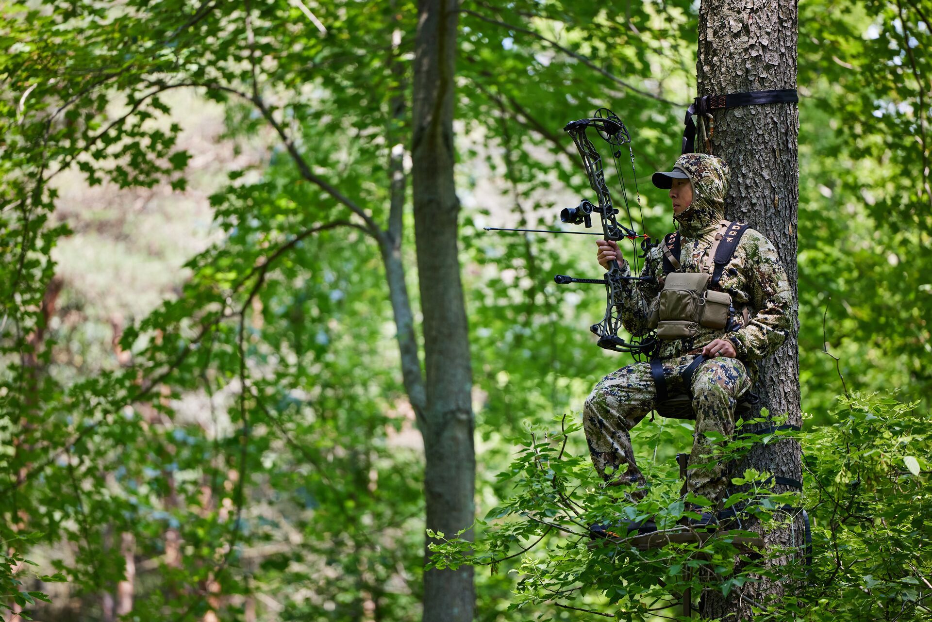 A hunter with a bow sits in a tree stand. 