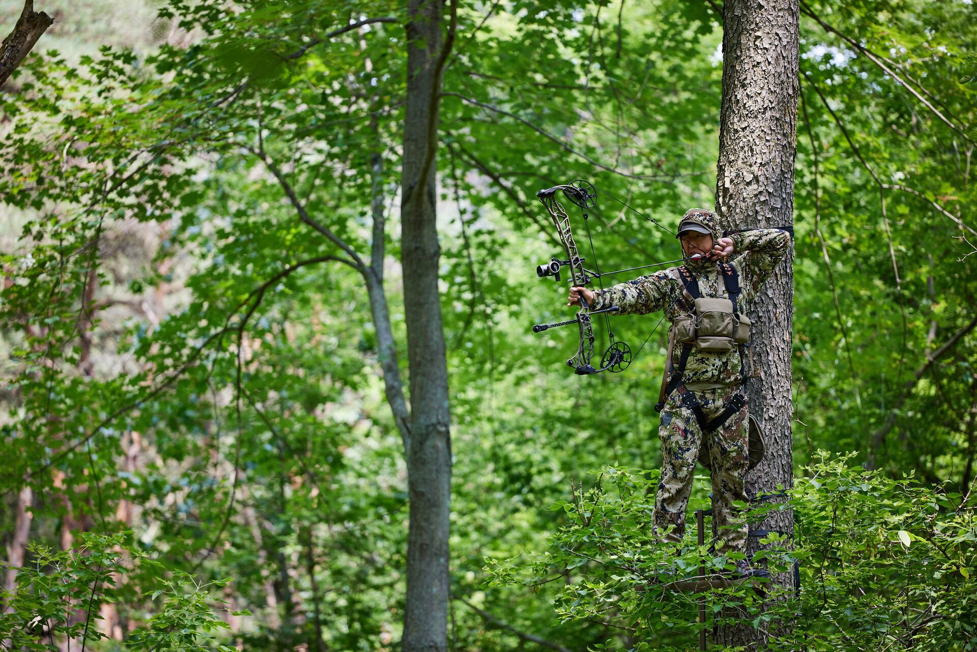 A hunter aims a bow while in a tree stand, North Carolina deer hunting concept. 