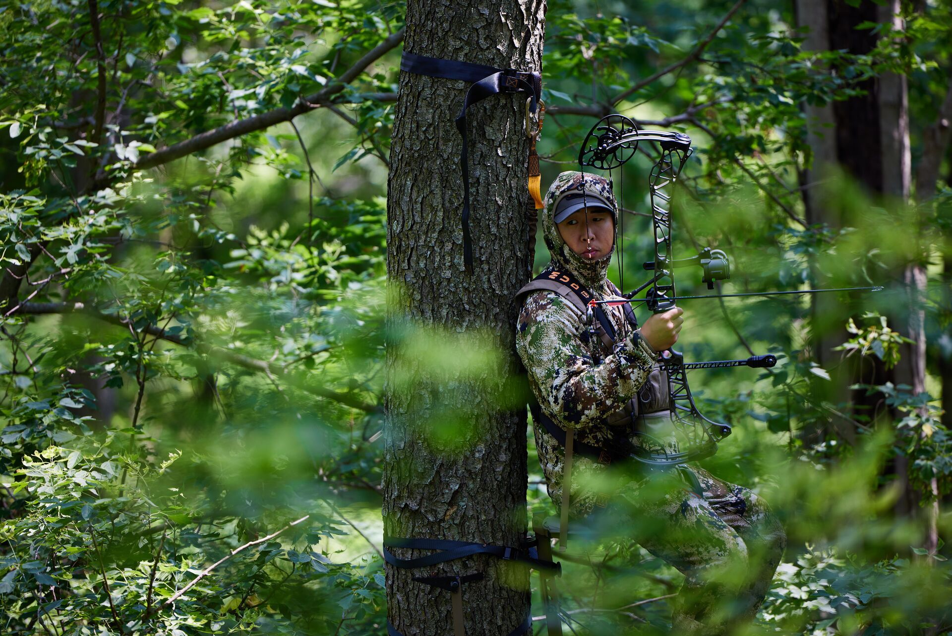 A hunter in camo with a bow in a tree stand, deer archery season concept. 