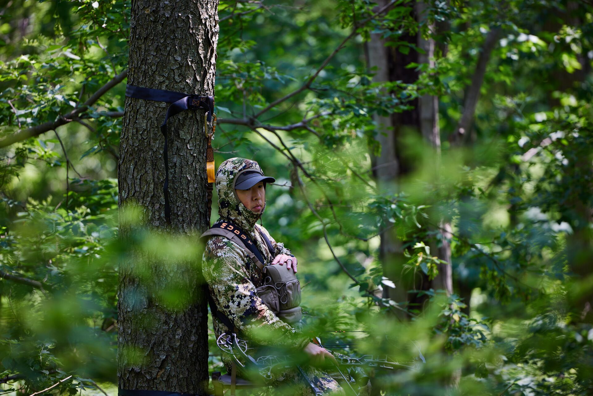 A hunter in camo in a tree stand, the woods where ticks thrive. 