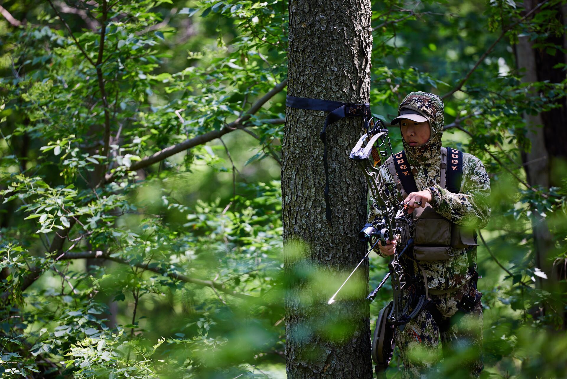 A hunter watches from a tree stand with a bow, Oklahoma deer hunting concept. 