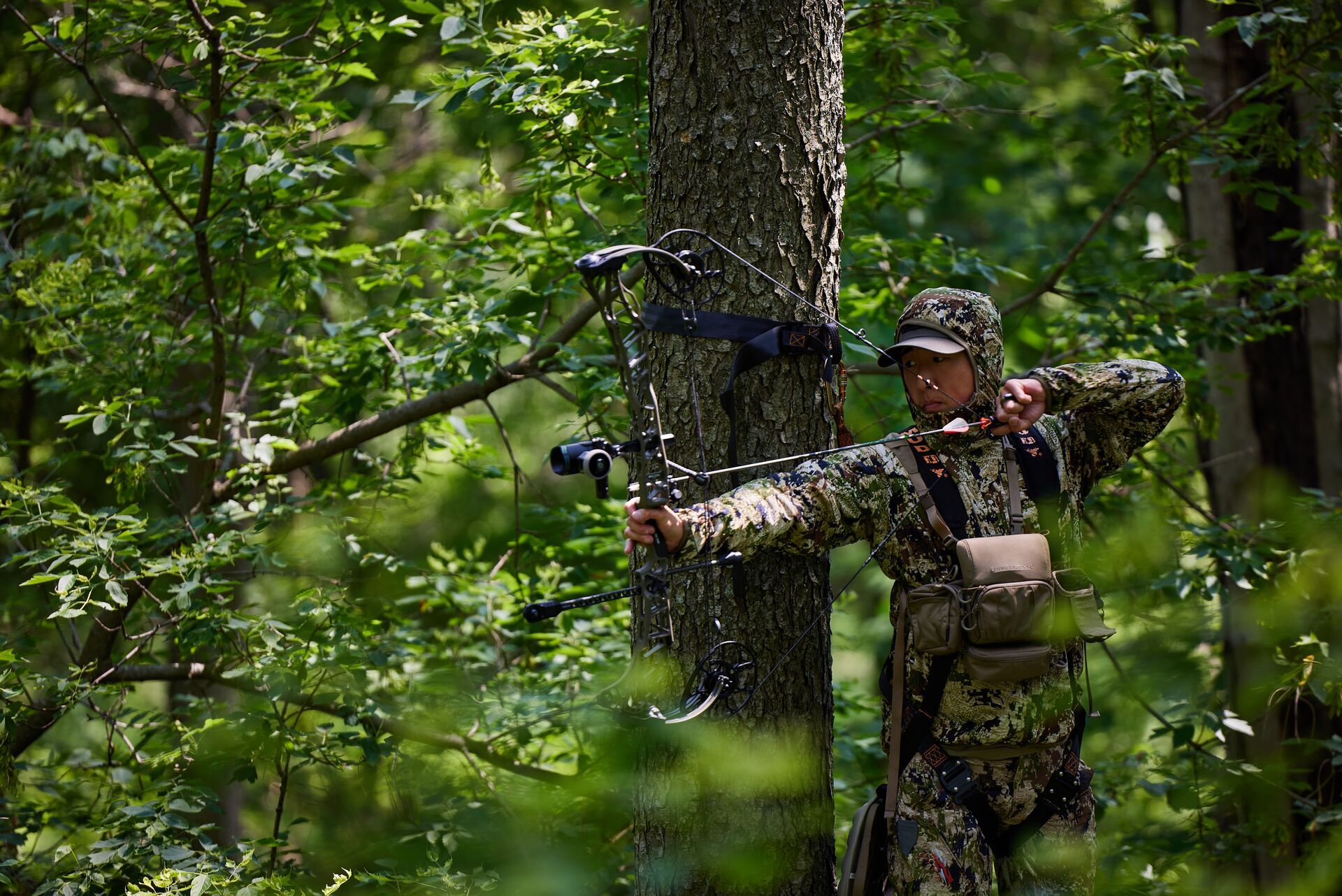 A hunter in camo in a tree stand draws a bow, hunting concept. 