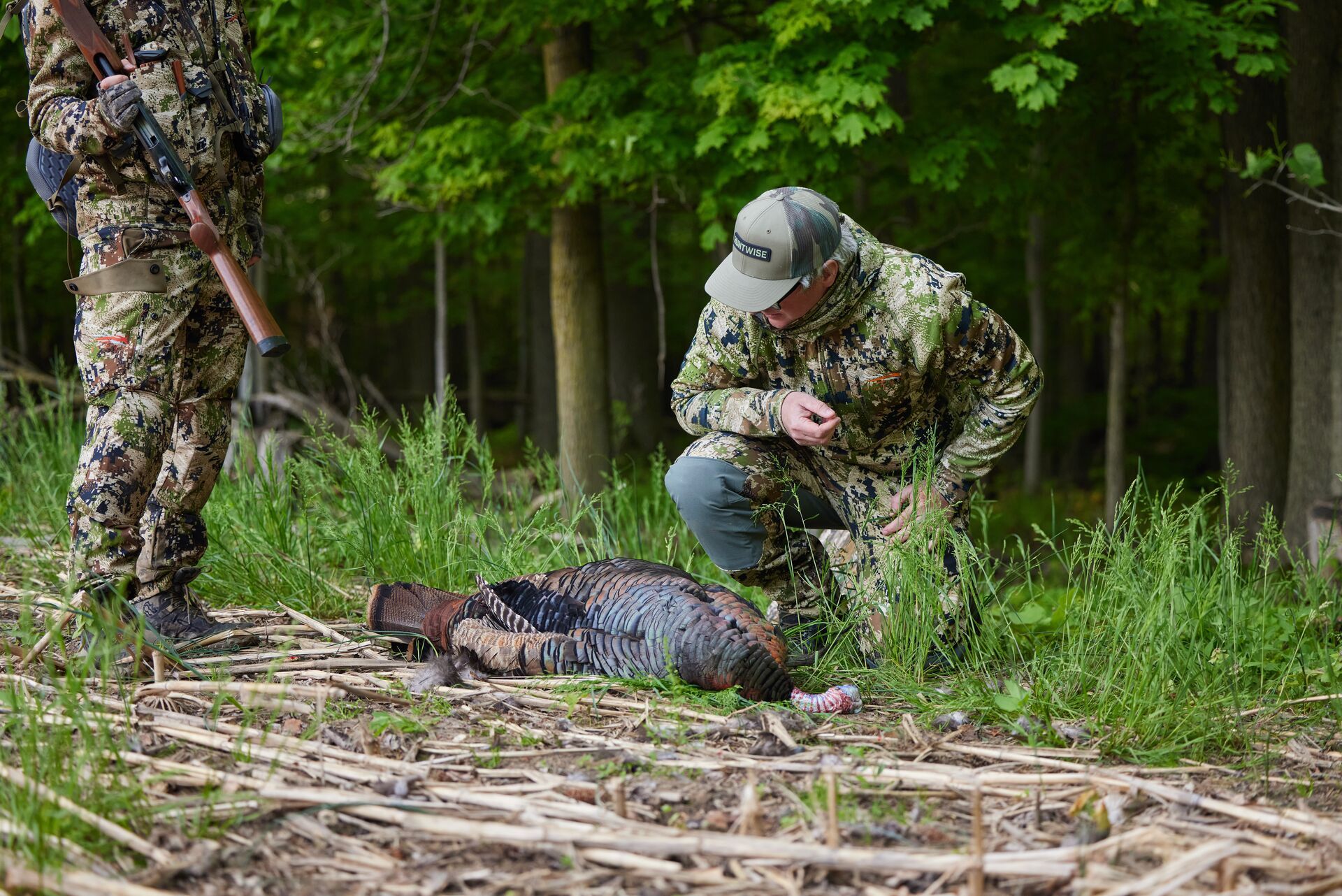 Hunters looking over a turkey after a hunt, Minnesota turkey season concept. 