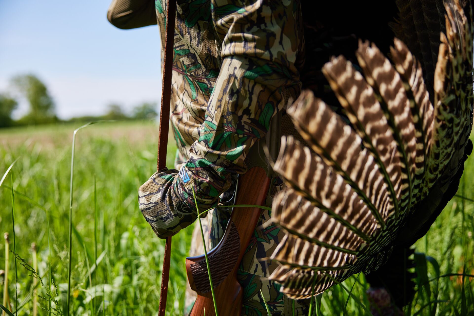 Close-up of a turkey tail on a hunter's back after a kill, hunting Eastern turkey concept. 