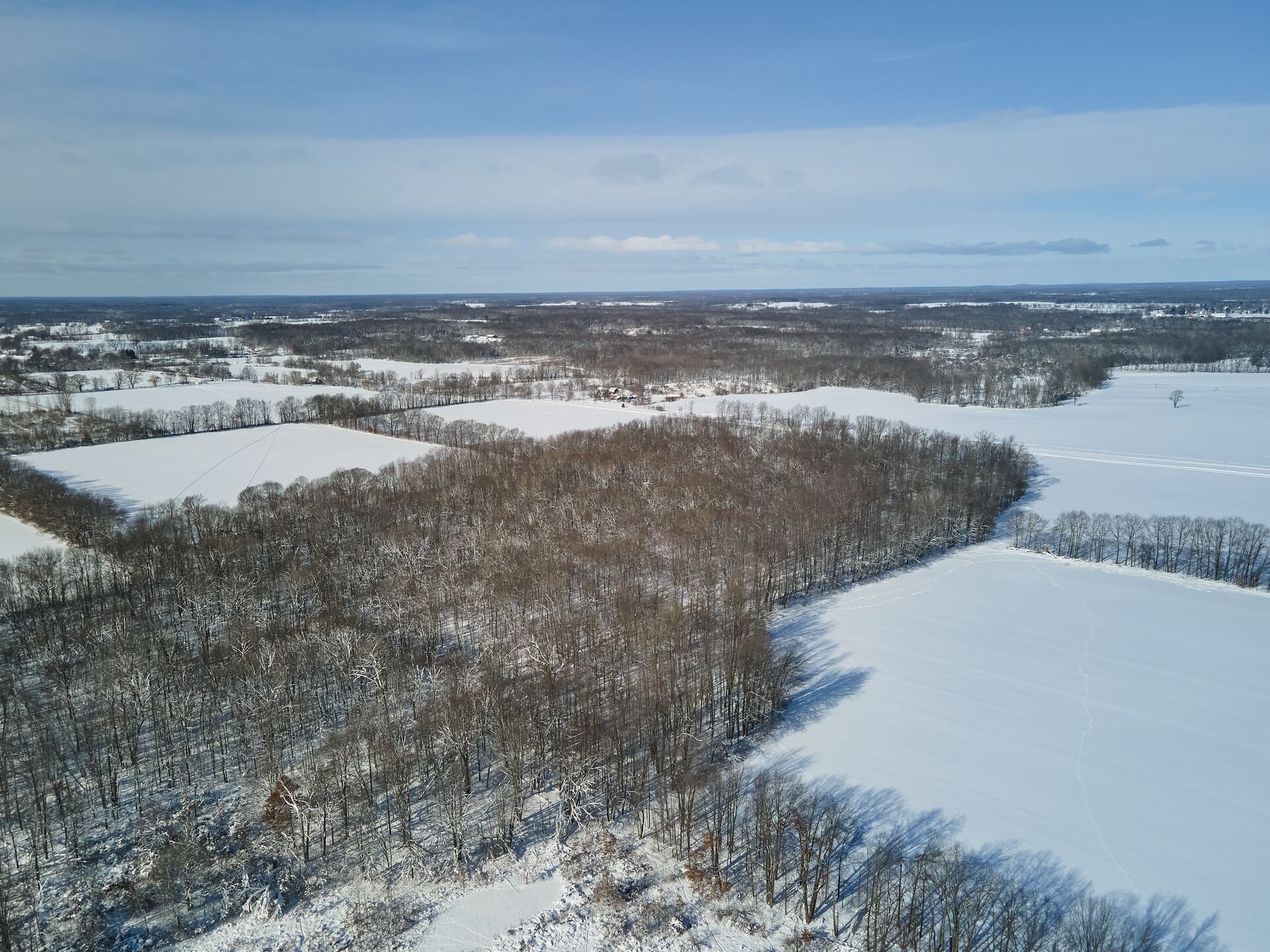 Aerial photo of a snow-covered whitetail deer hunting habitat. 