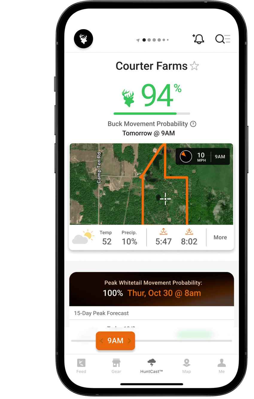 Understanding Deer Feeding Times for Bagging Big Bucks HuntWise