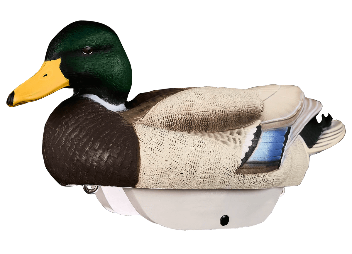 HeyDay hydrofoam mallard duck decoy, best duck decoys concept. 