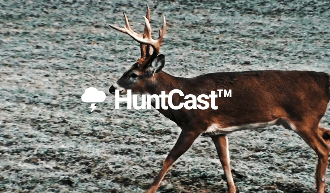 Image of a deer over a video about HuntCast in the HuntWise app. 