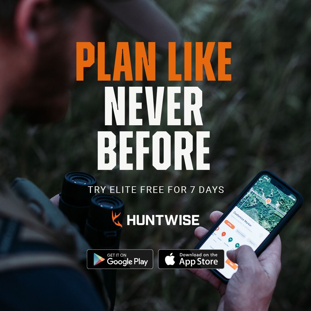 Graphic highlighting 7 days free of HuntWise with text "Plan Like Never Before."