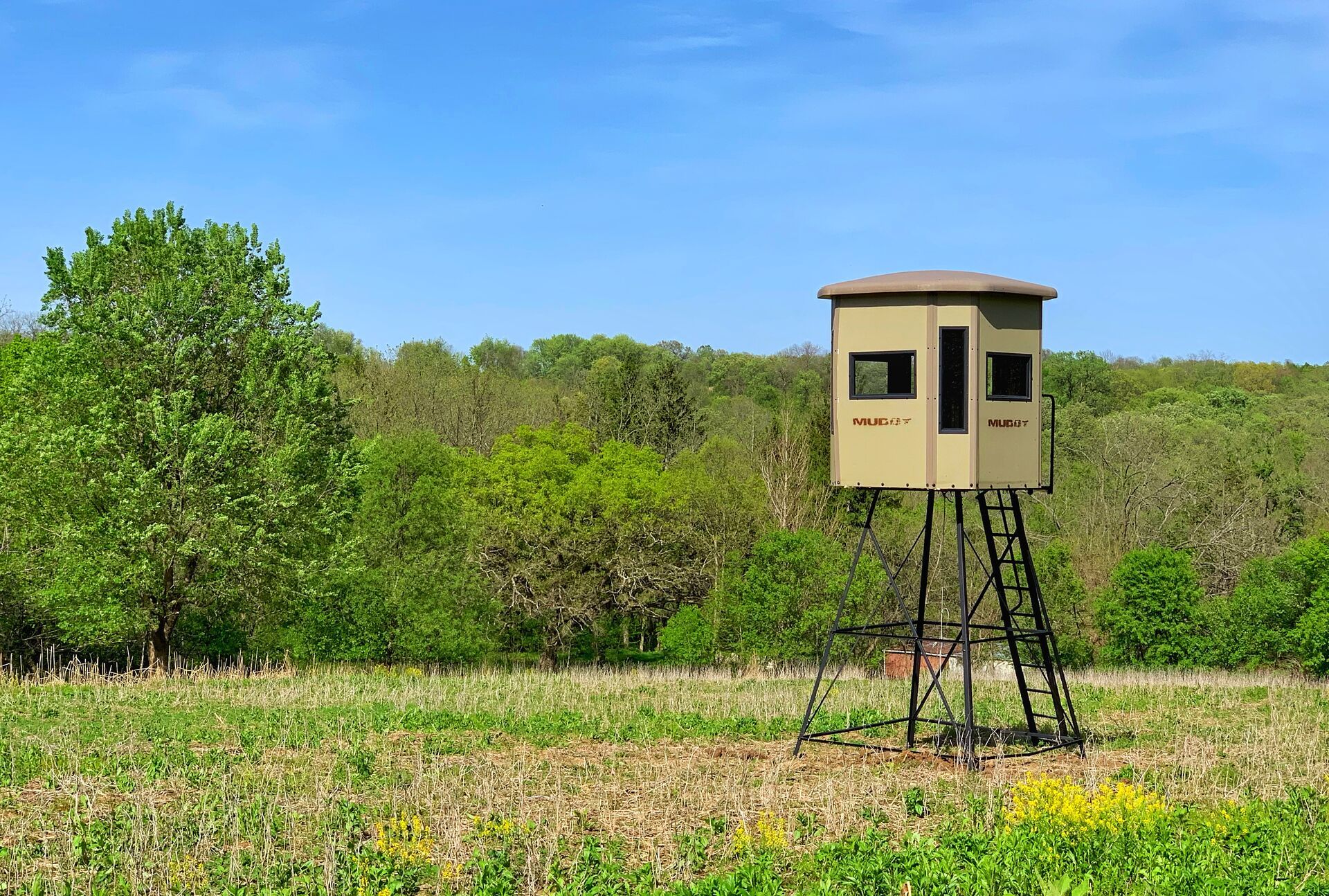 A hunting blind in a field, Arkansas hunting license concept. 
