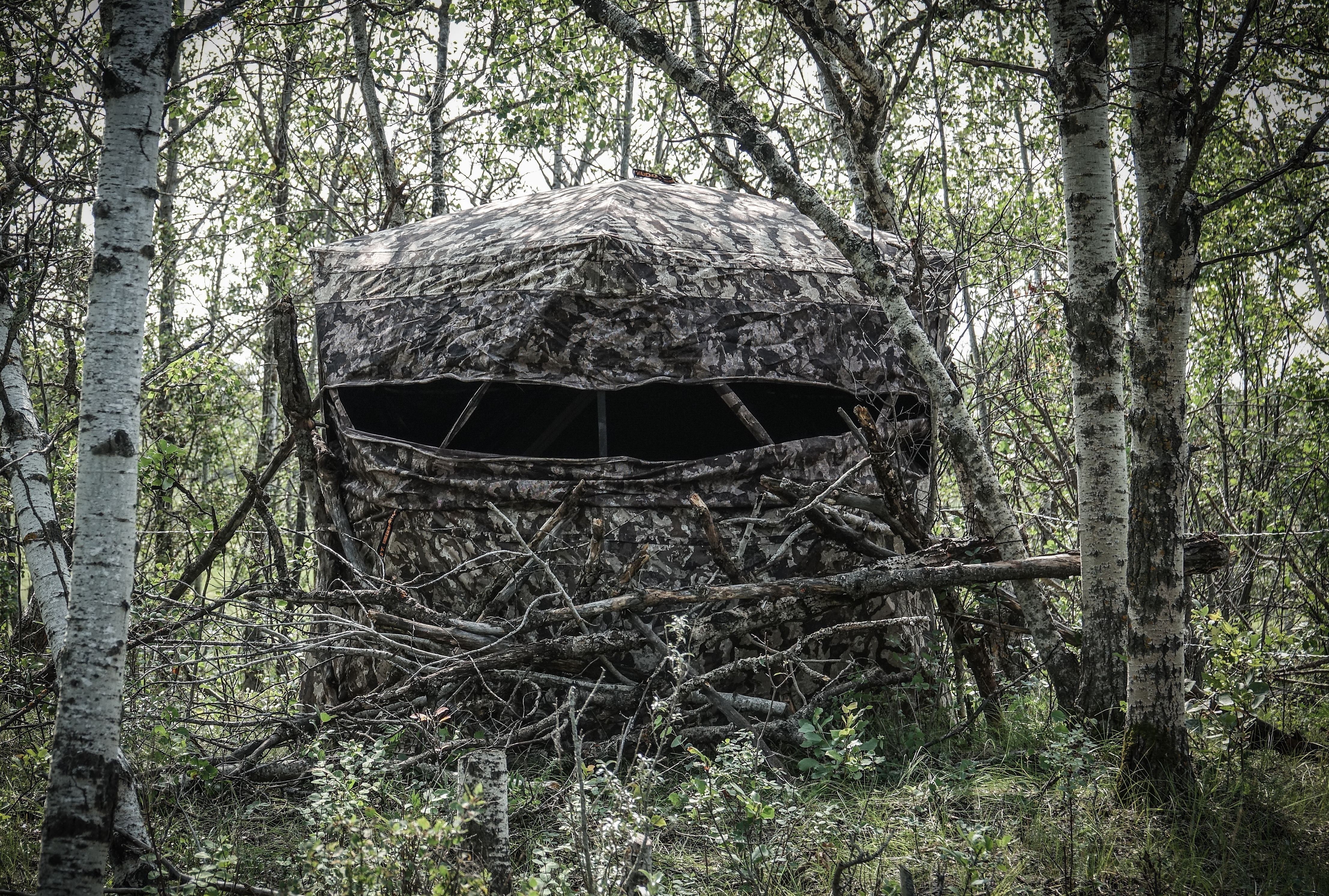 A hunting blind in the woods, California turkey season concept. 