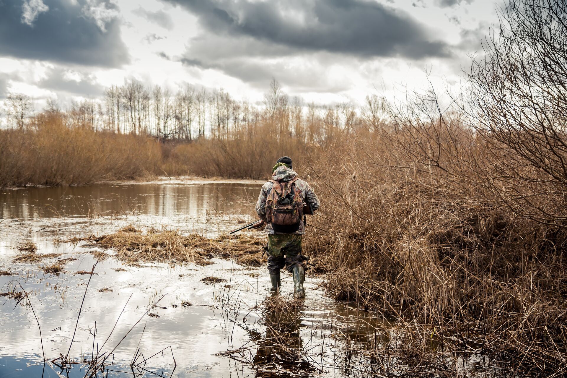 A hunter wades in the water with a shotgun and duck decoys. 