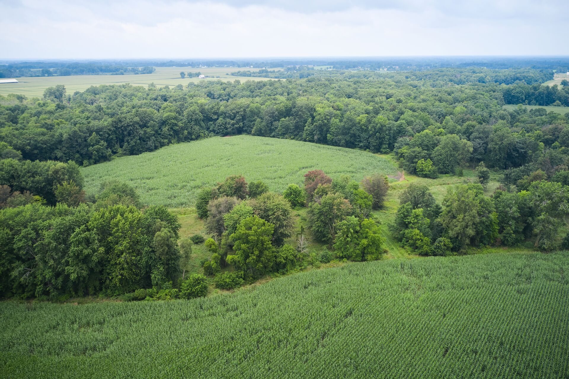 An overhead view of hunting land, deer hunting season concept. 