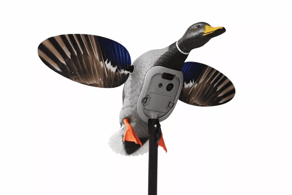 MOJO Mallard Elite Series waterfowl decoy.