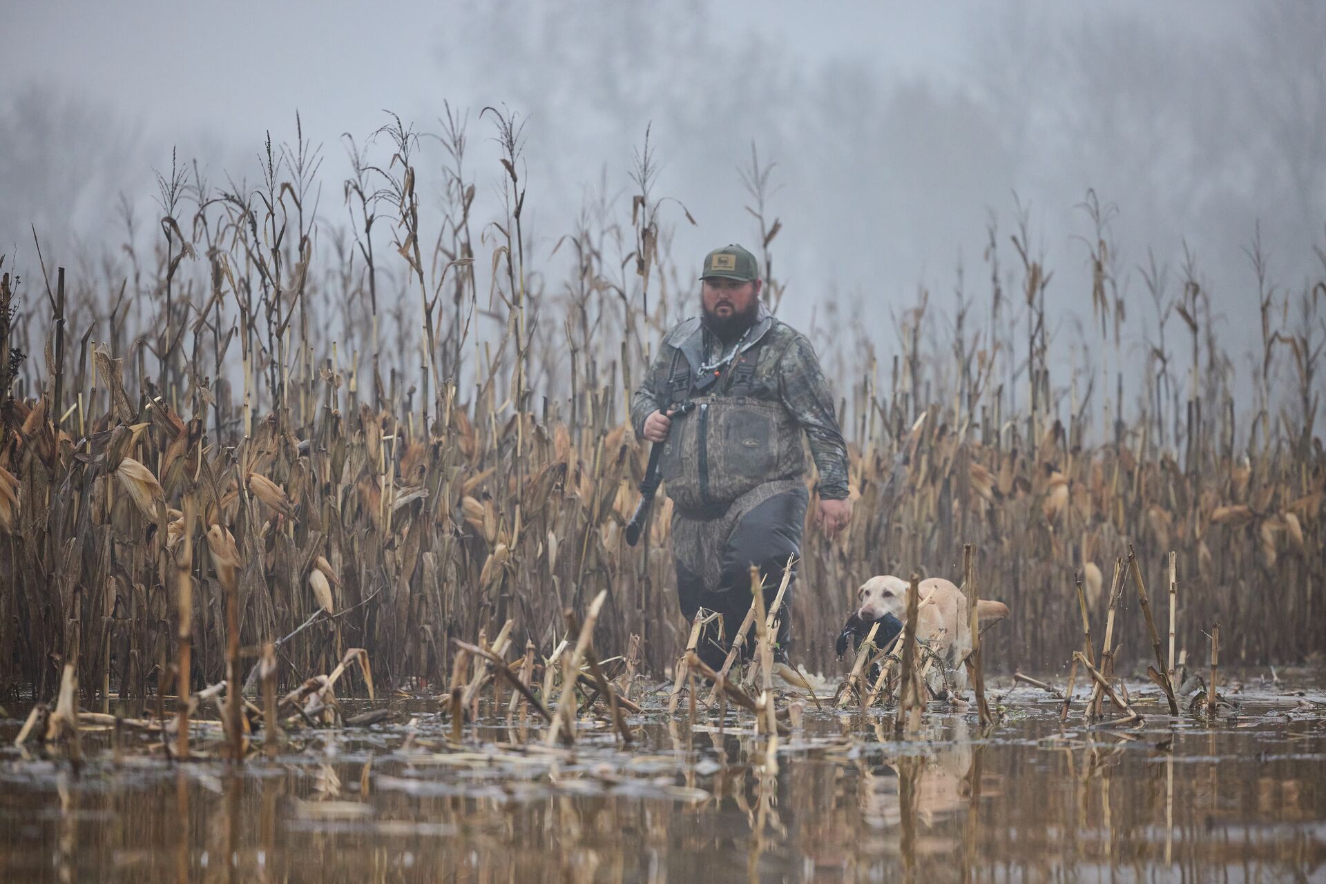 Hunter with hunting dog walks through water and reeds, waterfowl habitat management concept.