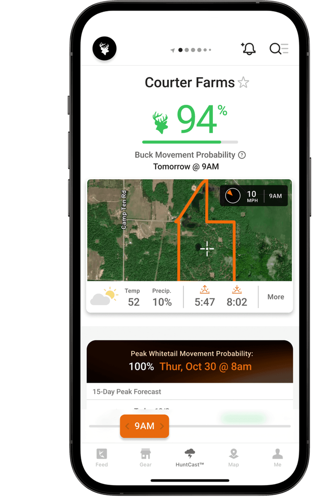 Understanding Deer Feeding Times for Bagging Big Bucks HuntWise
