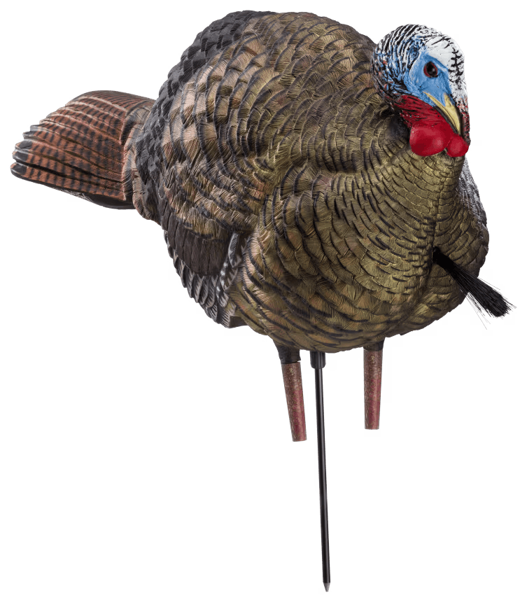 Avian-X LCD 1/2 Strut Jake Turkey Decoy, best turkey decoys concept. 