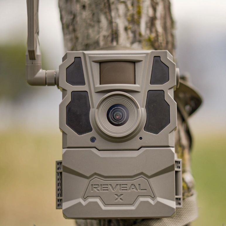Tactacam Reveal 2.0 on a tree, best trail cams concept. 
